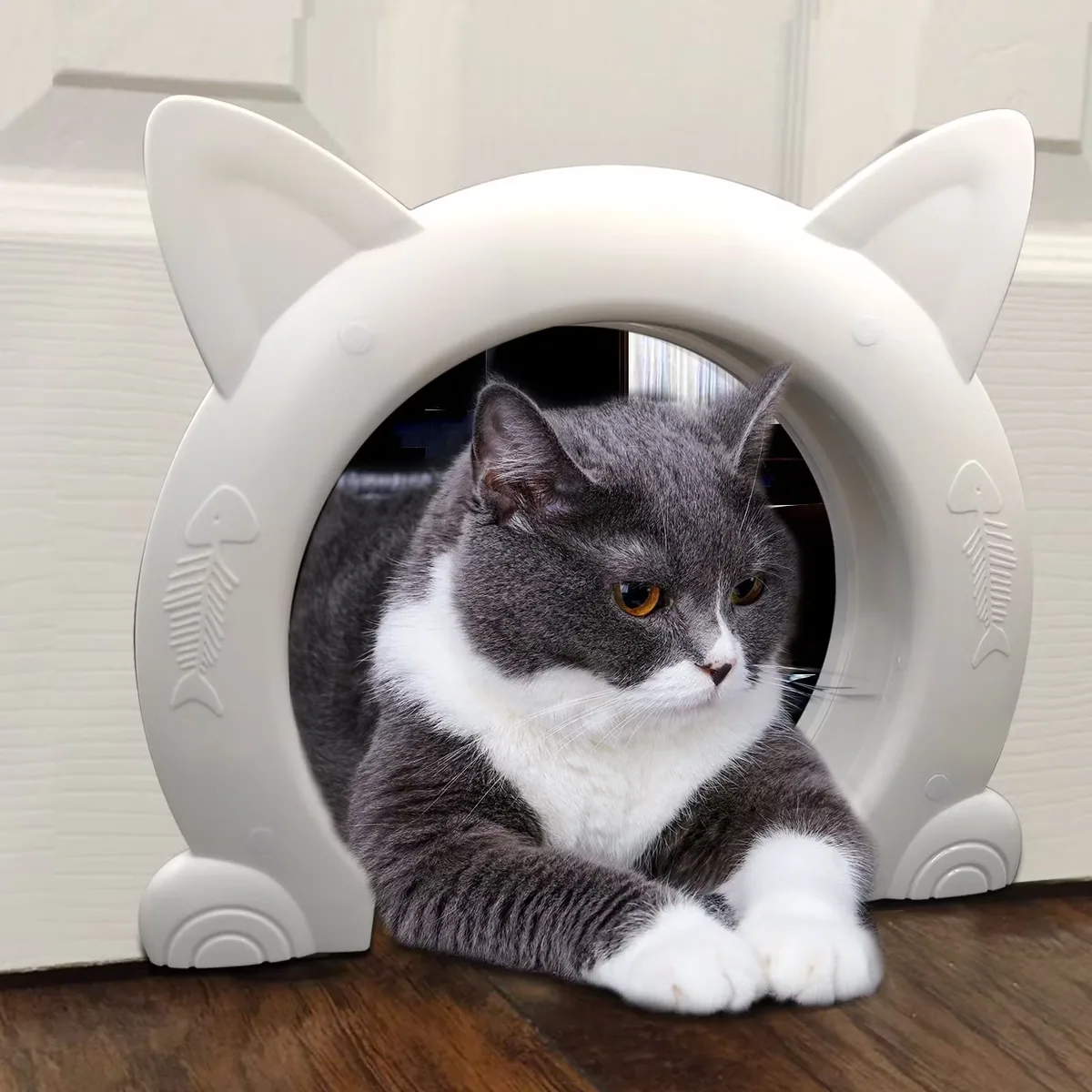 В Китае на заводе Пэт двери с помощью винтов Установите кошек 5-20фунта Cat двери для внутренних