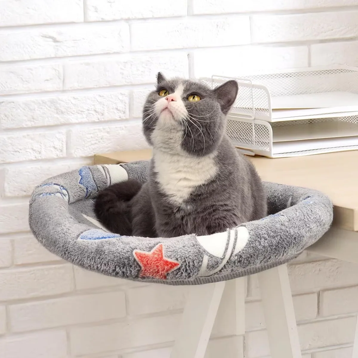 Светящееся дерево для кошек с мягким гнездом для кошек
