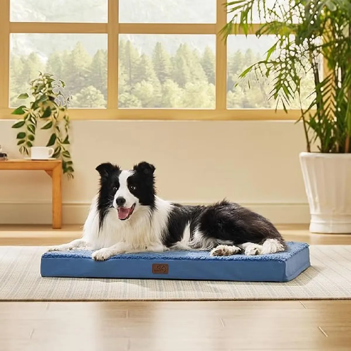 Пухлый стильный дышащий теплый комфортный washable мат для домашних животных с яркими цветовыми вариантами