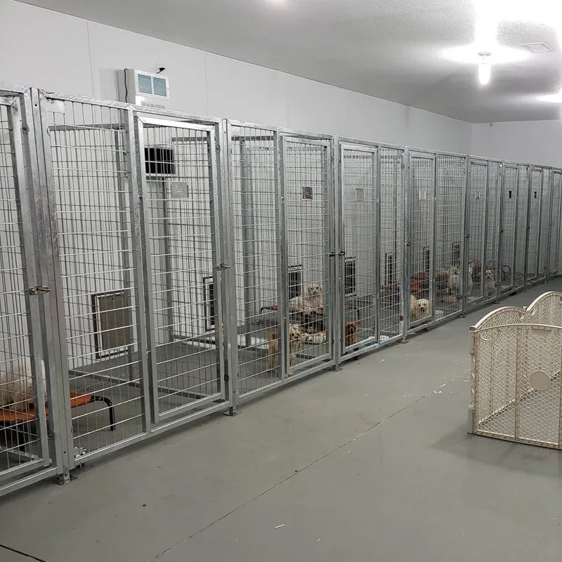 Закрытые 4' X 4' /Открытые 4' × 8 Многоразмерные стальные полные вольеры для собак