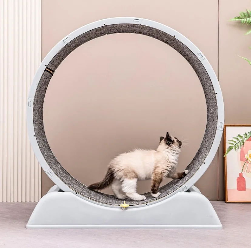 Кошачий колесо для упражнений, легко устанавливаемая игрушка для кошек