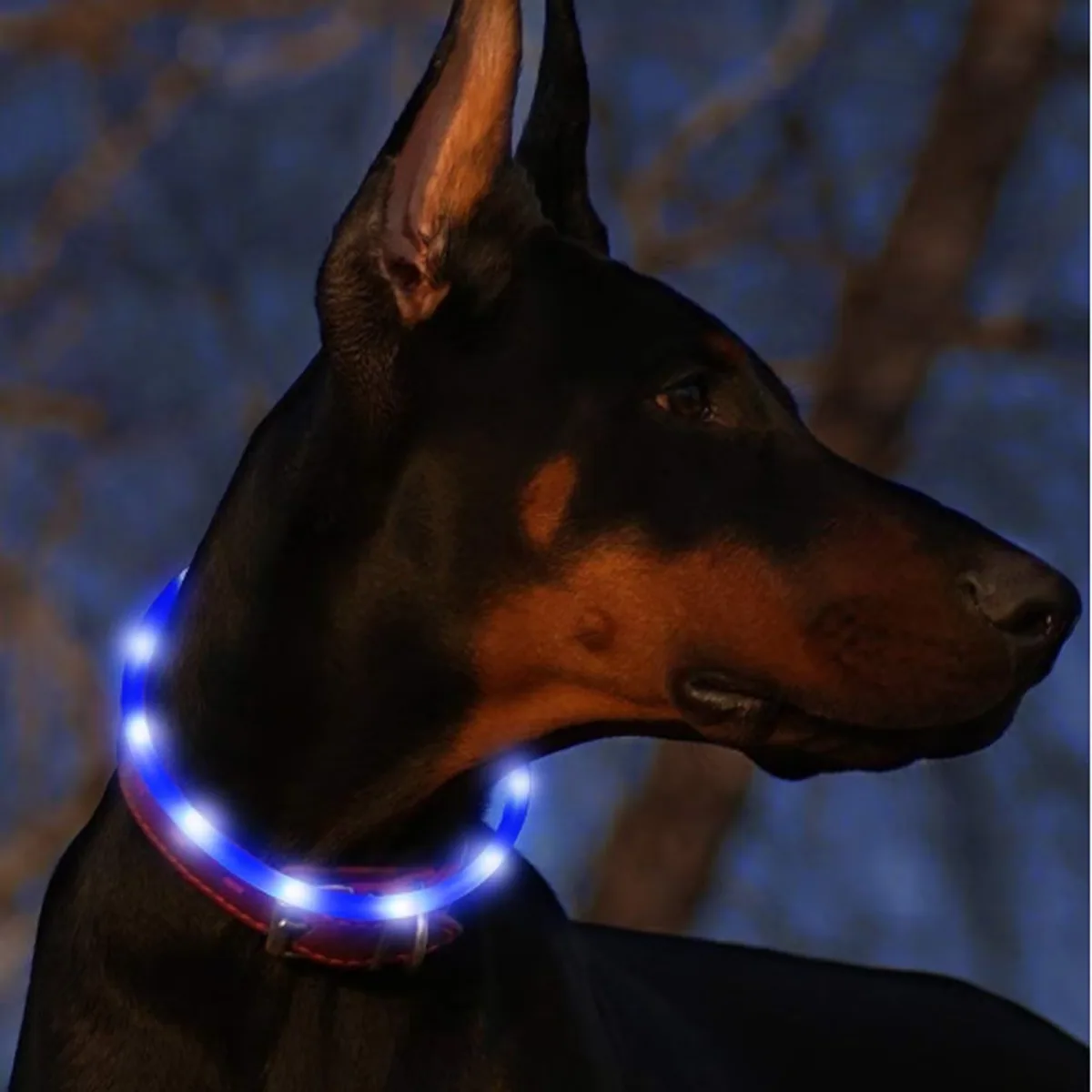 Светящийся ошейник для собак с LED, USB зарядка, улучшенная безопасность и видимость питомца в темноте