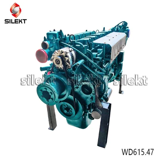 Оригинальная высококачественная Wd615.47 половина сборки двигателя для грузовика Sinotruk HOWO 371HP Номера деталей Отзывы пока отсутствуют