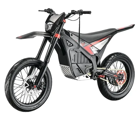 Арктический леопард снежный леопард Ex800/700 чрезвычайно сильная мощность 75V25kw электрический внедорожный мотоцикл