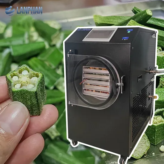 Автоматическая сушилка для фруктов, овощей и мяса с вакуумным насосом для домашнего использования