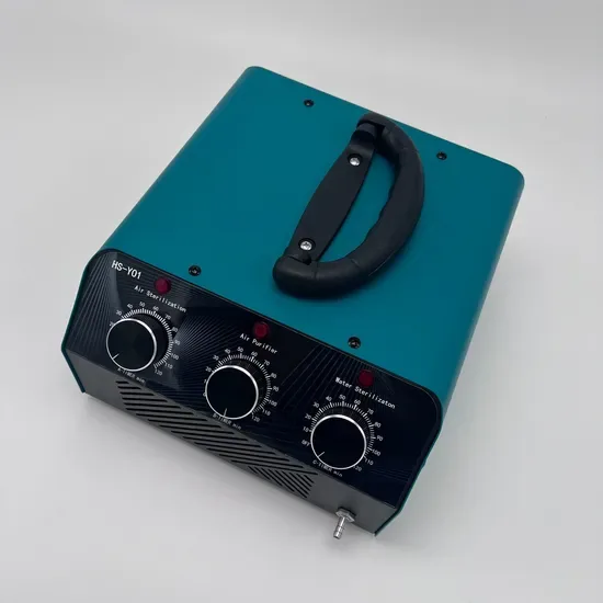 220V 20g/H Многофункциональный очиститель воздуха и воды/воздуха O3 озонатор