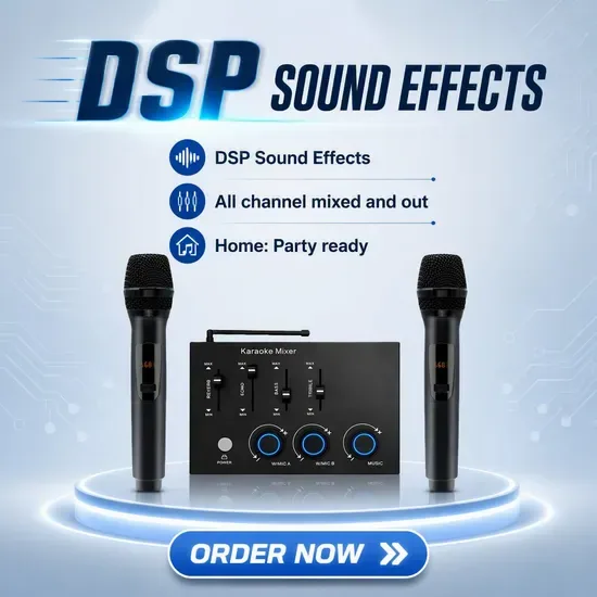 Кастомизированная 2-Channel беспроводная микрофонная караоке DJ эхо-система для гостиничного бального зала