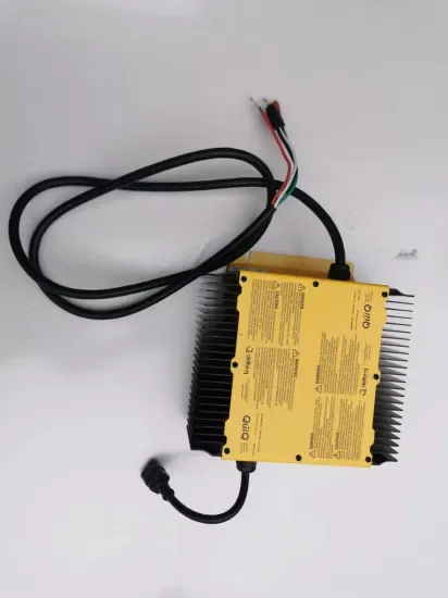 Электрическое зарядное устройство для гольф-карт Delta Q 48V зарядное устройство для батарей