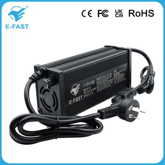 Зарядное устройство для литий-ионных батарей 12V 24V 36V 72V 84V 48V Индивидуальное электровелосипед LiFePO4 Зарядное устройство для батареи электрического скутера