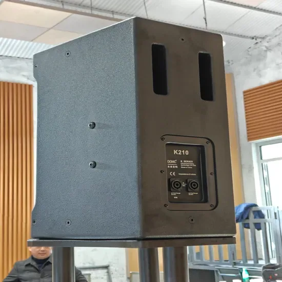 Профессиональный класс Дома K210 10-Inch Динамик для студийных приложений