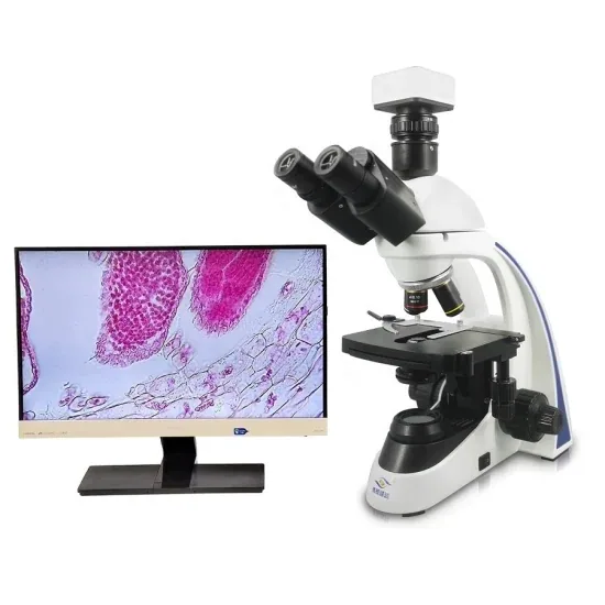Бошида Bd-Sw1001t 40X-1600X Тринокулярный компаундный медицинский исследовательский биологический микроскоп с цифровой камерой