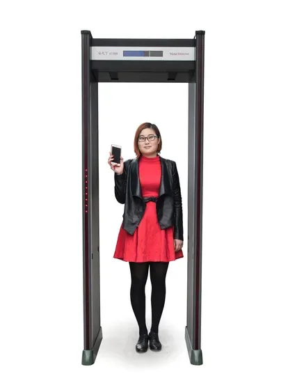 Фабрика металлодетекторов, дверь, слава, проходной металлодетектор