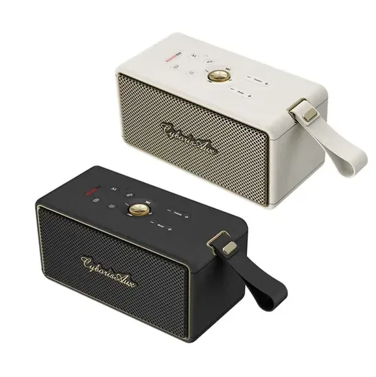 Циборис T21 2.1 Канал 60W Беспроводная колонка Высококачественная Классическая Модная OEM/ODM Домашняя колонка для домашнего кинотеатра и на улице, Готова к отправке