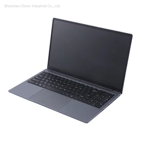 15.6inch Легкий и ультратонкий 11th N5095 Ноутбук с высокой памятью 16GB+1tb 128GB Учебный бизнес-ноутбук OEM дешевый нетбук