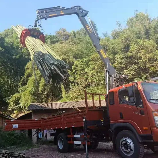 Фуман Новый Подъемный Механизм Лесозаготовительного Крана с Крюком для Бревен