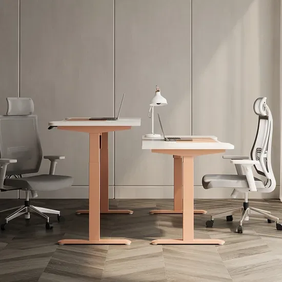 Современный электрический компьютерный стол Fenlern с регулируемой высотой для домашнего офиса и гостиничной мебели для работы стоя