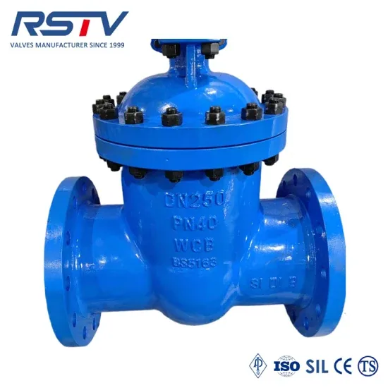 DIN/GOST/En1092 Pn40 DN250 Запорный клапан из литой стали Wcb с редукторным управлением