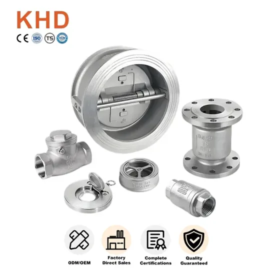 SS304/201/316/Industrial/Stainless Steel/H71W/Non-Return/Backflow/Gas/Wafer/Insert/Wholesale/Silent/Spring/Swing/Duckbill/Spring Загруженный обратный клапан Союза