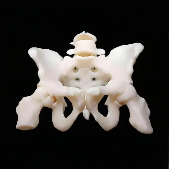 Кастомное SLA 3D Печать Вакуумное Литье Быстрый Прототип Сервис для Медицинской Модели