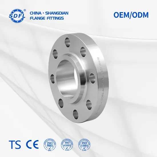 Нержавеющая Steel/304/316/316L/Xxxnx/PED/Vacuum/Blind/Slip на/Сварной шейка AISI 150 RF Женская резьба Bsp/NPT Резьбовое соединение Оптовая арматура кованое фланец