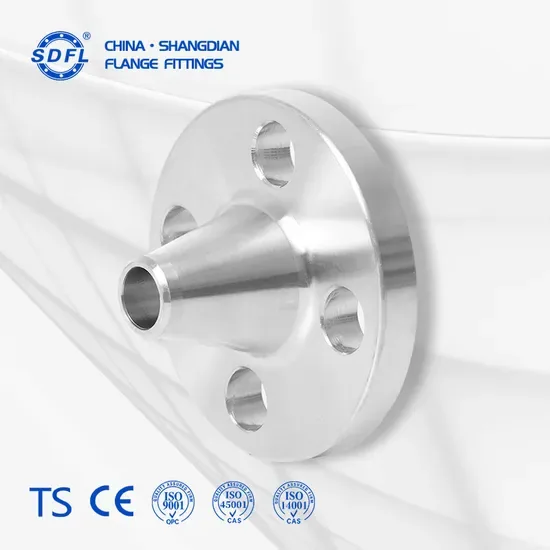 Оптовая ANSI 150lb Ss 316L Нержавеющая фланец, включая фланец с надеванием, морской, приварной, смотровой, соединительный, выхлопной и сварной фланец
