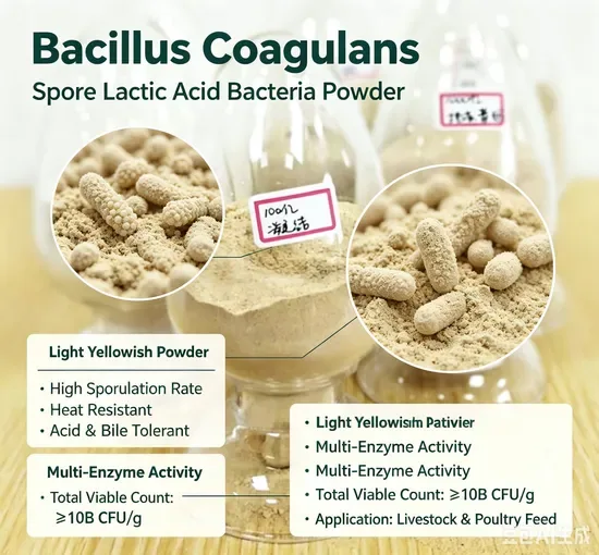 Пробиотик для животных, термостойкая кормовая добавка, OEM ODM порошок Bacillus Coagulans