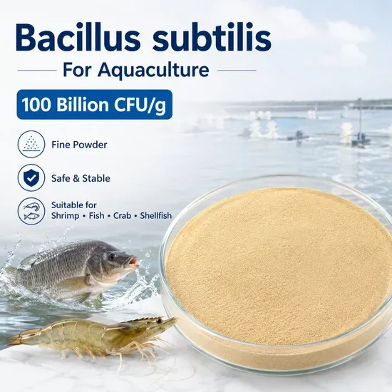 Термостабильный Bacillus subtilis с уникальным процессом ферментации
