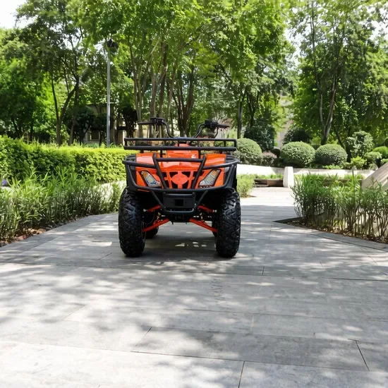 Фабрика Янкун 200cc 250cc 300cc 4 Строк CVT Автоматический бензиновый ATV Высокая производительность Внедорожный утилитарный для оптовой продажи
