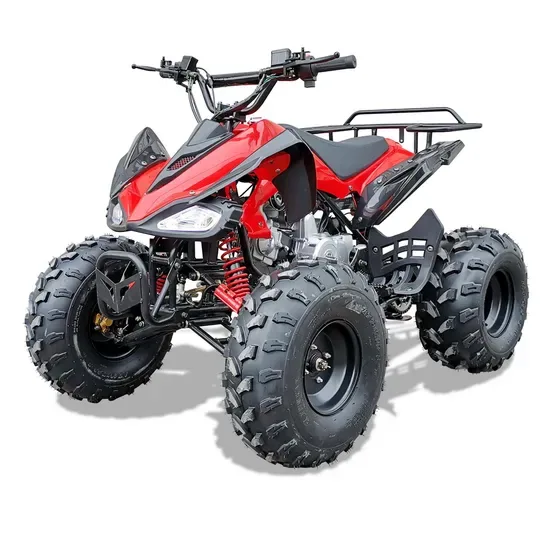 110cc 125cc 4 Квадрицикл Уилера Газовый Квадроцикл Бик