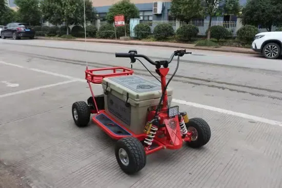 Фабричная цена 2000W Электрический 4WD Охлаждающий скутер-карт с 75qt коробкой