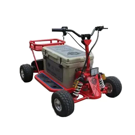 Горячая распродаваемая продукция 1000W Электрический 2WD скутер-охладитель с 45qt коробкой