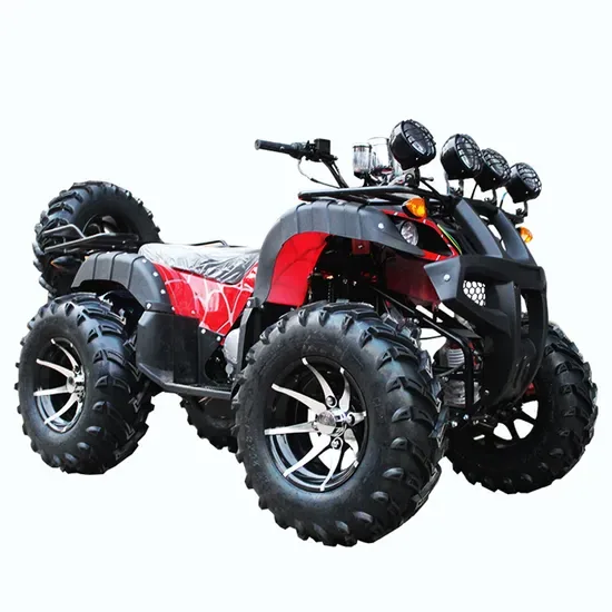 4X4 250cc Части 125cc Квадроцикл 500cc ATV/UTV 400cc внедорожный 800cc Прицеп 200cc Задние шины велосипеда Ферма Дети Передняя рама ATV