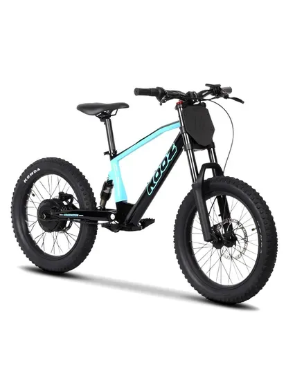 18 Дюйм 20inch Колеса 500W 750W Мощный литиевый электрический балансирующий велосипед для детей