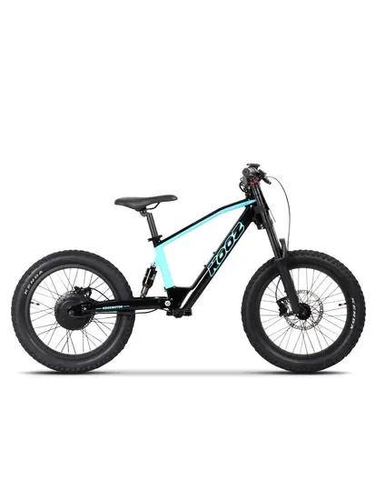 450W 750W Электрический велосипед 18inch 20inch Мини балансировочный электрический велосипед