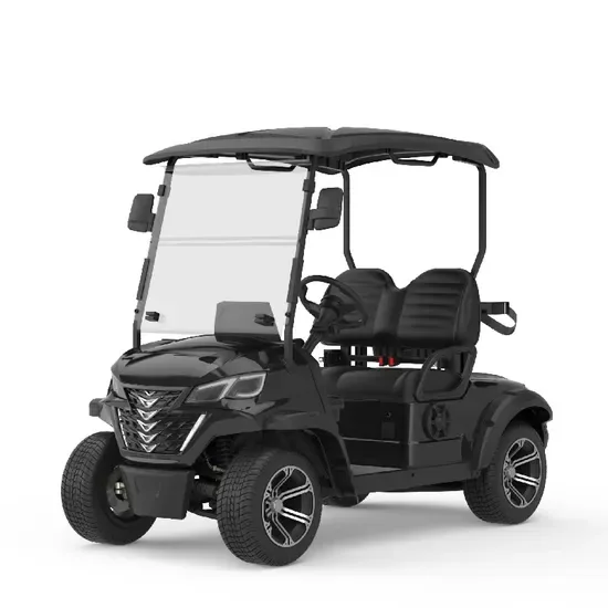 Новая чёрная 2-местная тележка для гольфа на продажу — фабрика Golf Car Lzx2