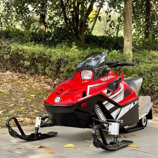 200cc 250cc 300cc Снегоход для взрослых