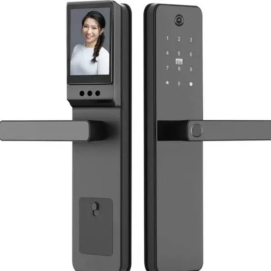 Умный дверной замок для спальни Ttlock Tuya, пароль, карта, отпечаток пальца, умная ручка замка