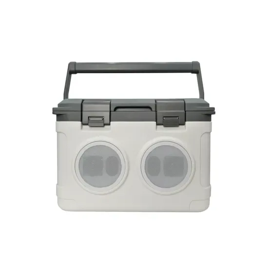 Bluetooth колонка с 21L кемпинговым вакуумно-изолированным контейнером, сохраняет холод в течение 48 часов, портативная ручка, идеально подходит для барбекю, пляжа, походов и других мероприятий