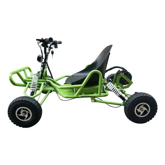 Флипски 15000W Мини Багги 20ah/1512wh БЛДК Двигатель Ноль Выбросов Электрический Привод Го Карт