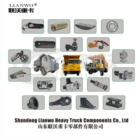 Пэнсян Mt86 Lgmgcmt96 Mt86h/Sanyi Skt80s Skt90s Skt95/Tonly Tl875 Tl891/Sinotruk ХОВО 70t Запчасти для горных грузовиков