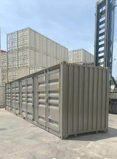 Кастомизированный 40FT контейнер для перевозки с боковыми дверями на продажу