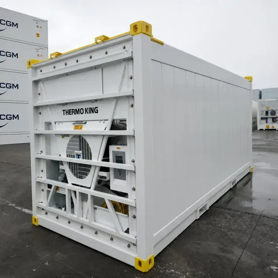 Сертифицированный по стандарту Dnv 2.7-1 20FT офшорный рефрижераторный контейнер со стропами для подъема Tyneco