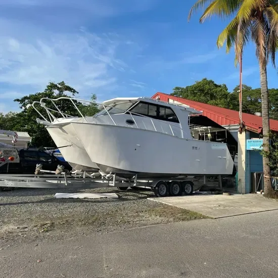30FT Алюминиевый катамаран с кабиной, пассажирский круизный катер на продажу